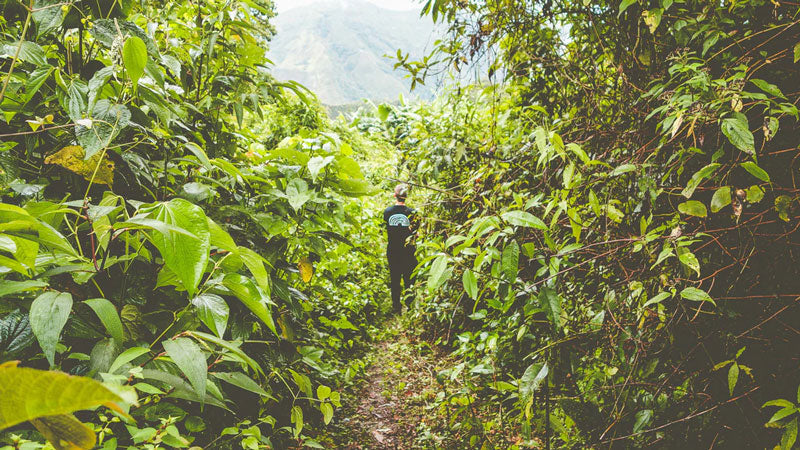 OUR FARMS | Peru